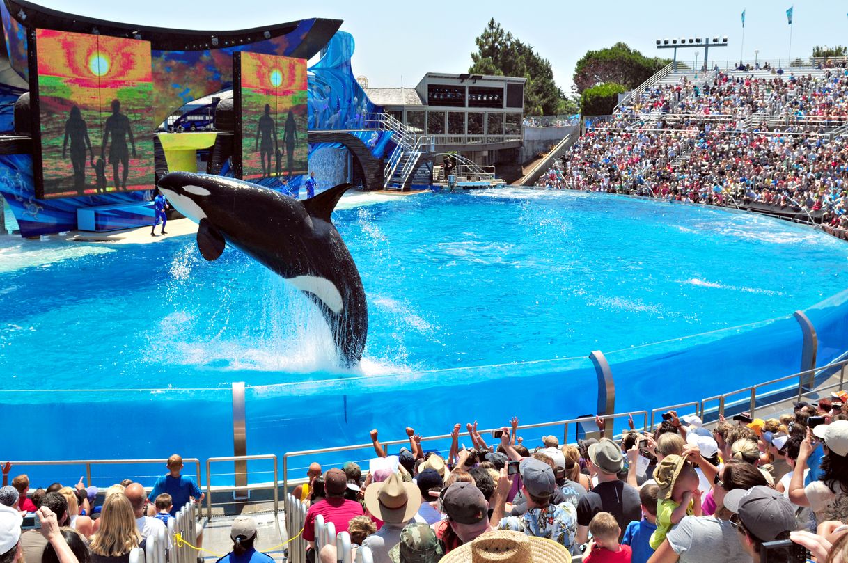 Lugar SeaWorld San Diego