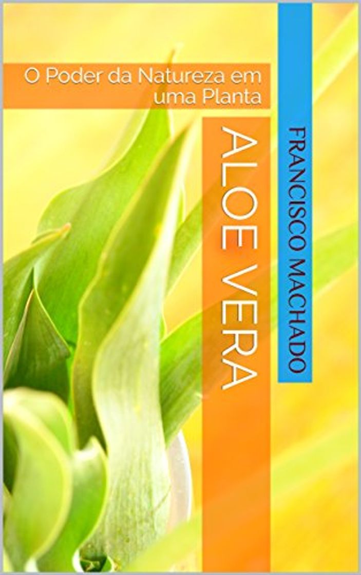 Place Aloe Vera: O Poder da Natureza em uma Planta