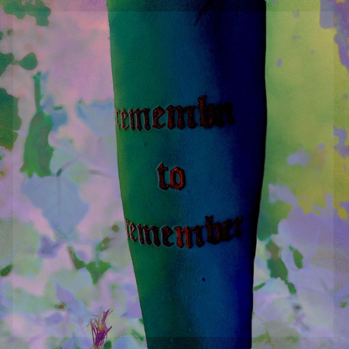 Canción Remember to Remember