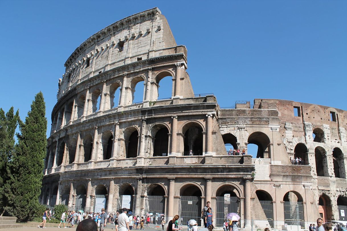 Lugar Coliseo de Roma