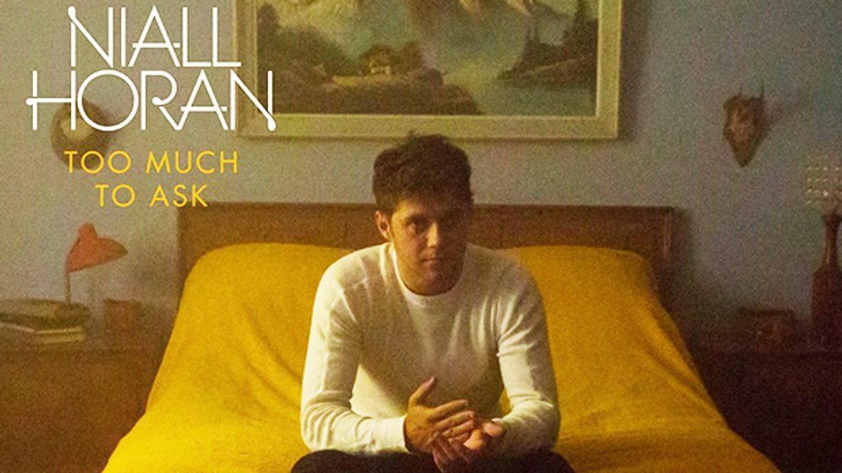 Canción Niall Horan - Too Much To Ask