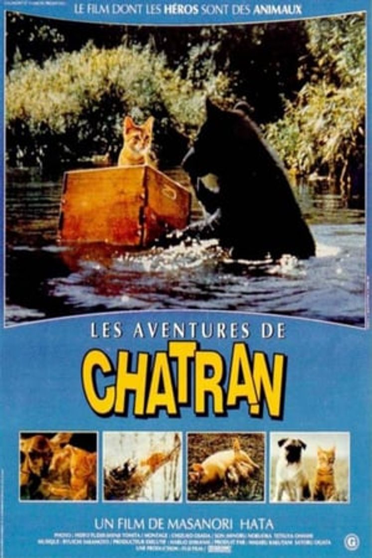 Movie Las aventuras de Chatrán