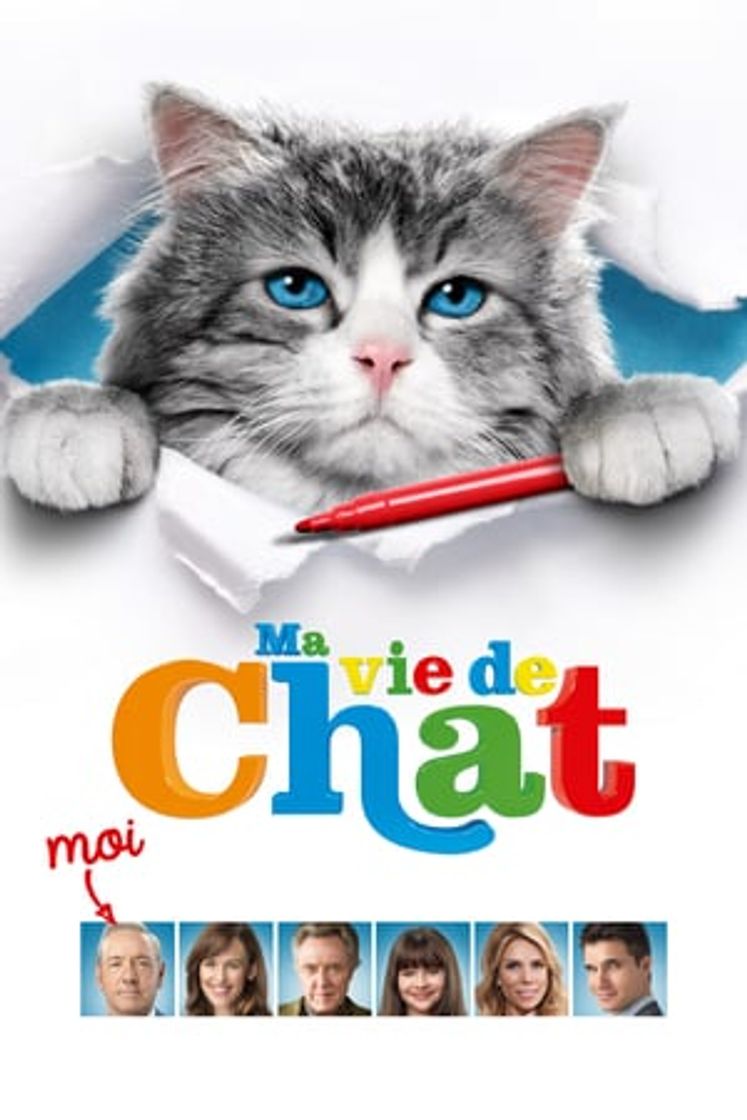 Movie Siete vidas, este gato es un peligro