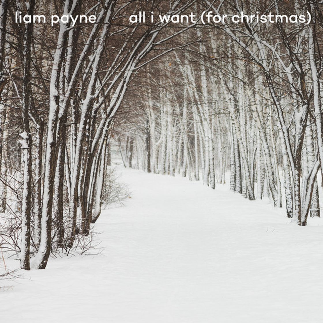 Canción All I Want (For Christmas)