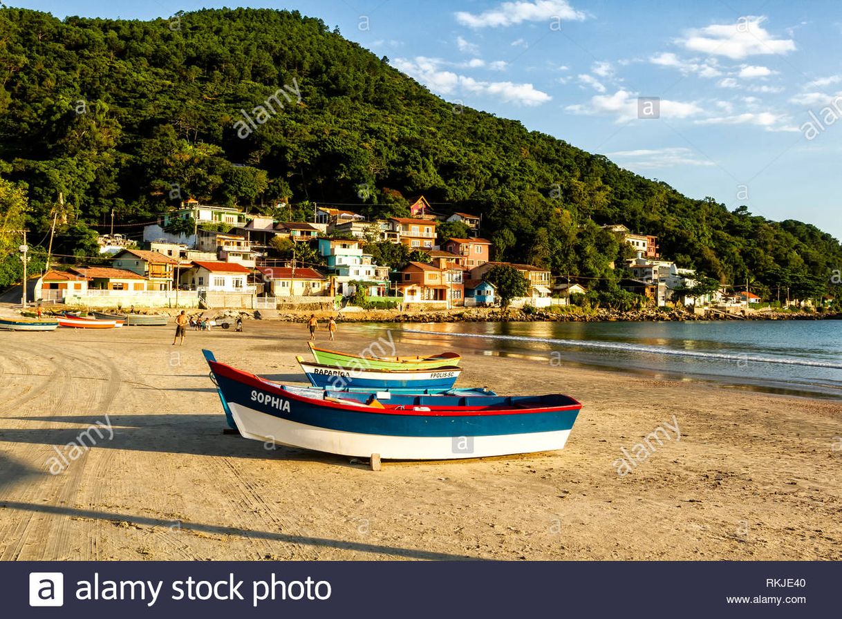 Place Praia do Pântano do Sul