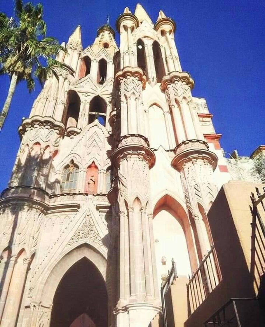 Place San Miguel de Allende