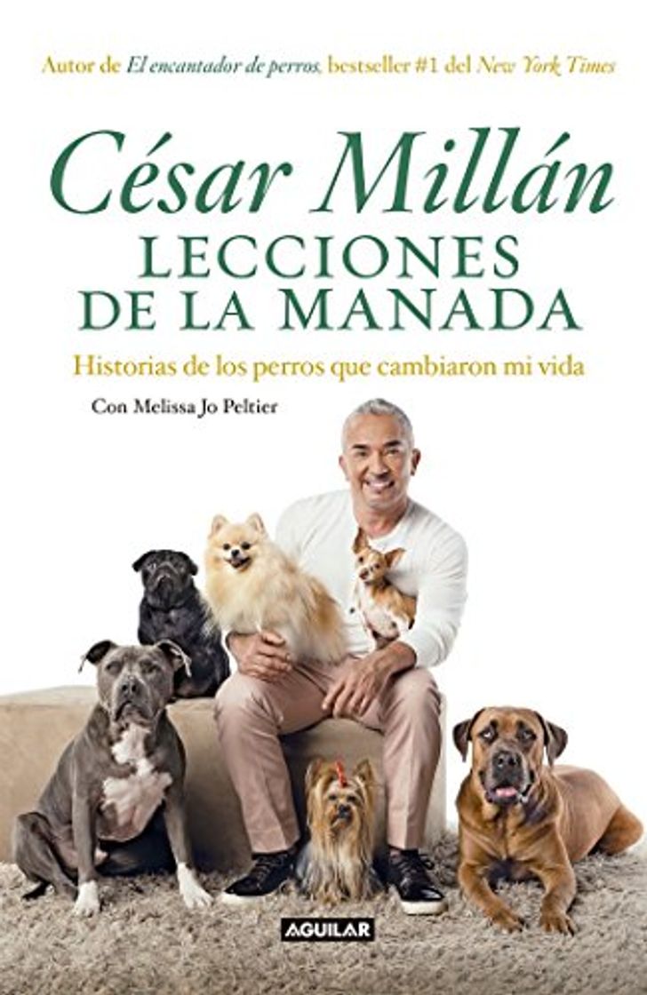 Libro Lecciones de la manada