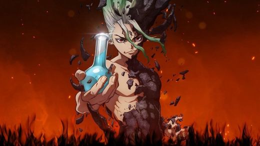 Dr. Stone