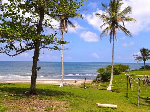 Playa Chaparrales