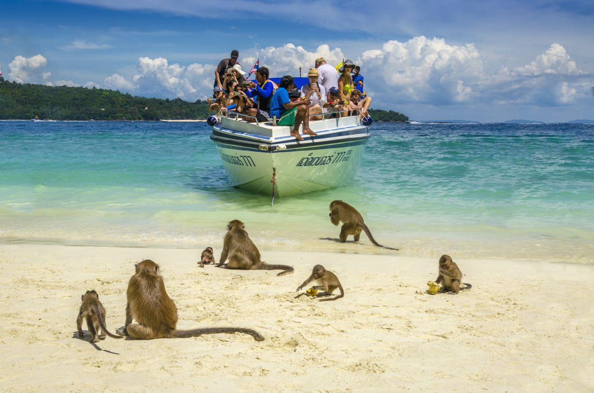 Lugar Monkey Beach