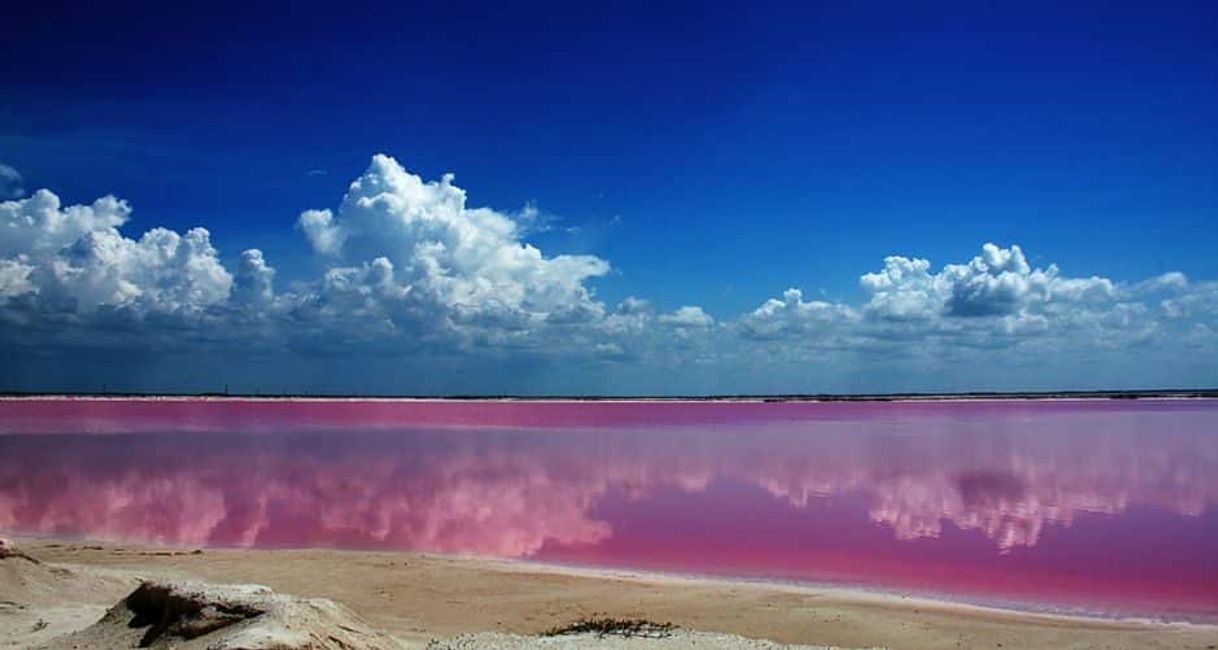 Lugar Las Coloradas Yucatan