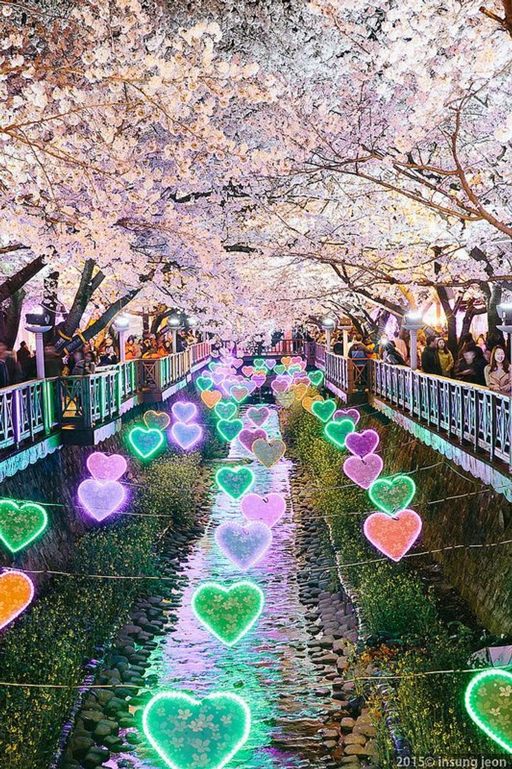 Place COREA DEL SUR