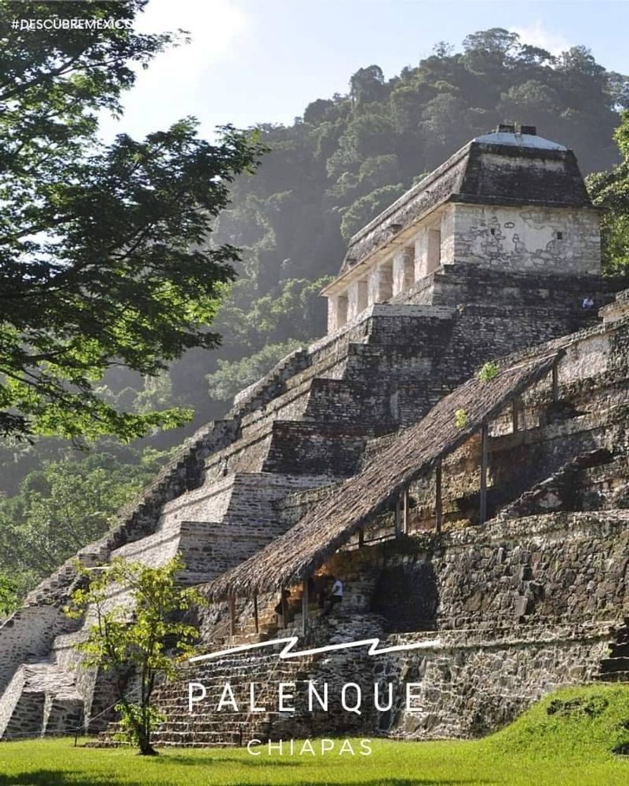 Place Palenque