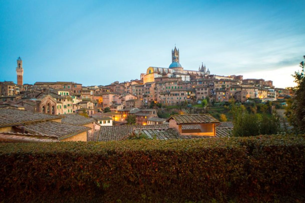 Restaurantes Il Pomodorino | Siena