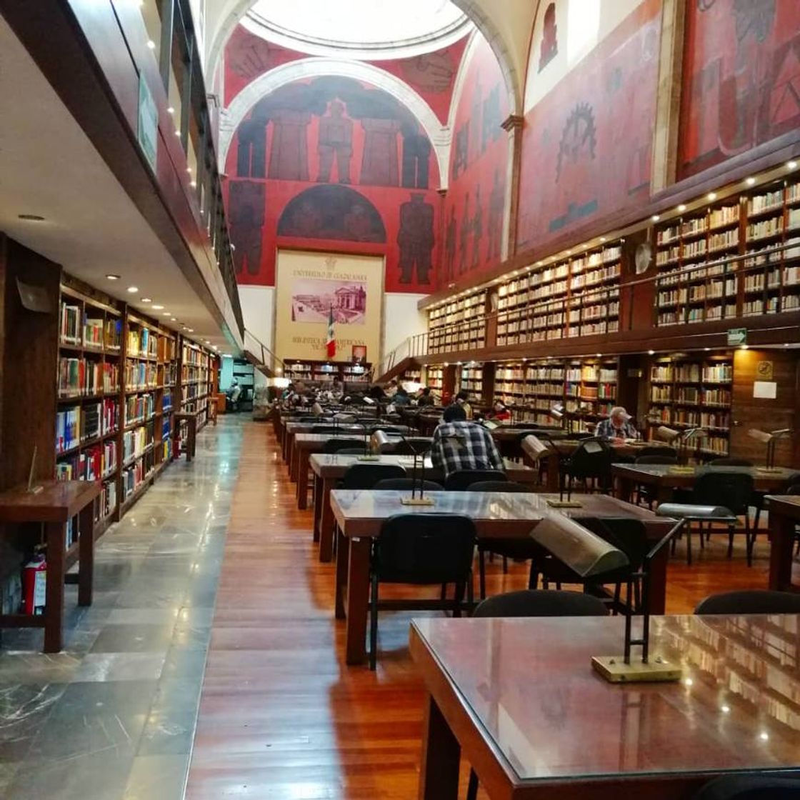 Place Biblioteca Iberoamericana Octavio Paz