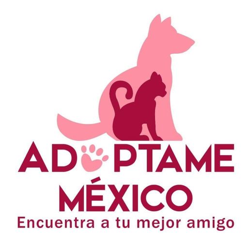 Adóptame México | Perros y Gatos en Adopcion | México | Pet ...