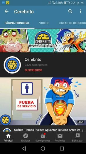 Cerebrito 