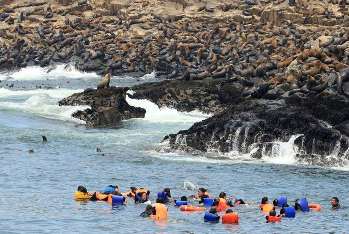 Places ECOTURISMO ISLAS DEL CALLAO S.A.C.