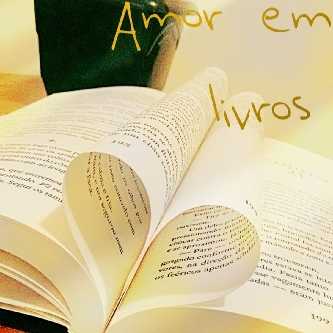 Fashion Amor em Livros - YouTube