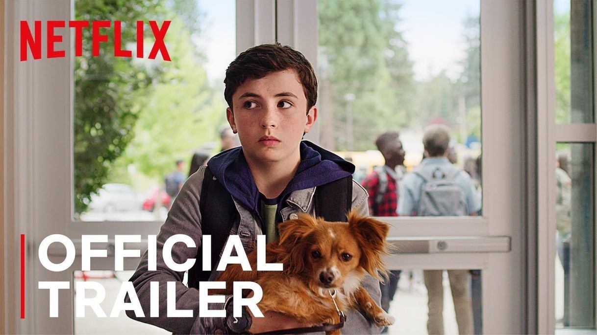 Serie The Healing Powers of Dude | Netflix Official Site