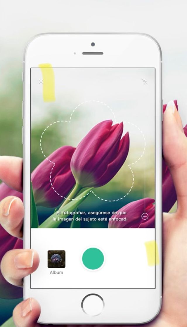 Apps ‎PictureThis - Plant Identifier on the App Store