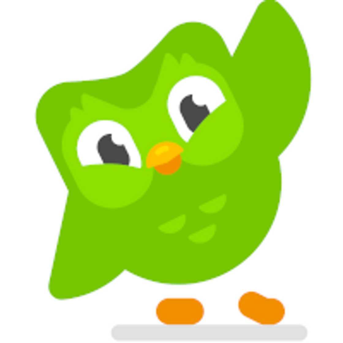Social Duolingo