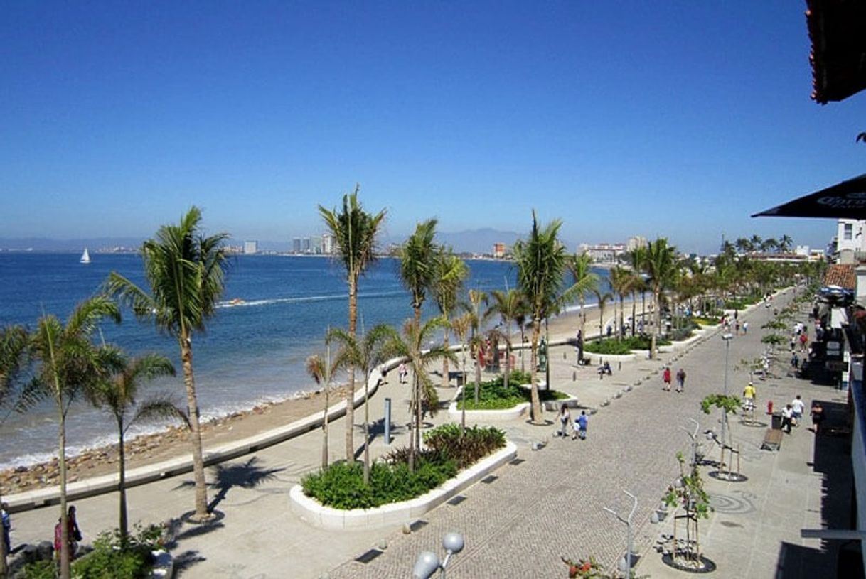 Lugar Puerto vallarta malecon