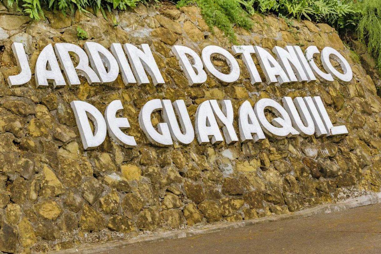 Lugar Jardin Botanico