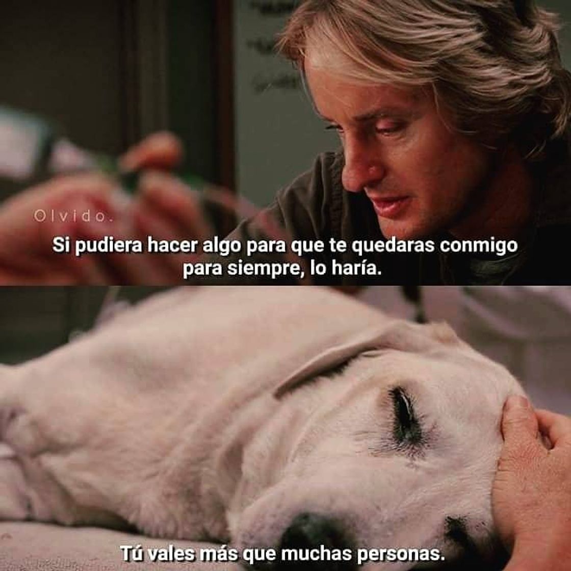 Movie Una pareja de tres