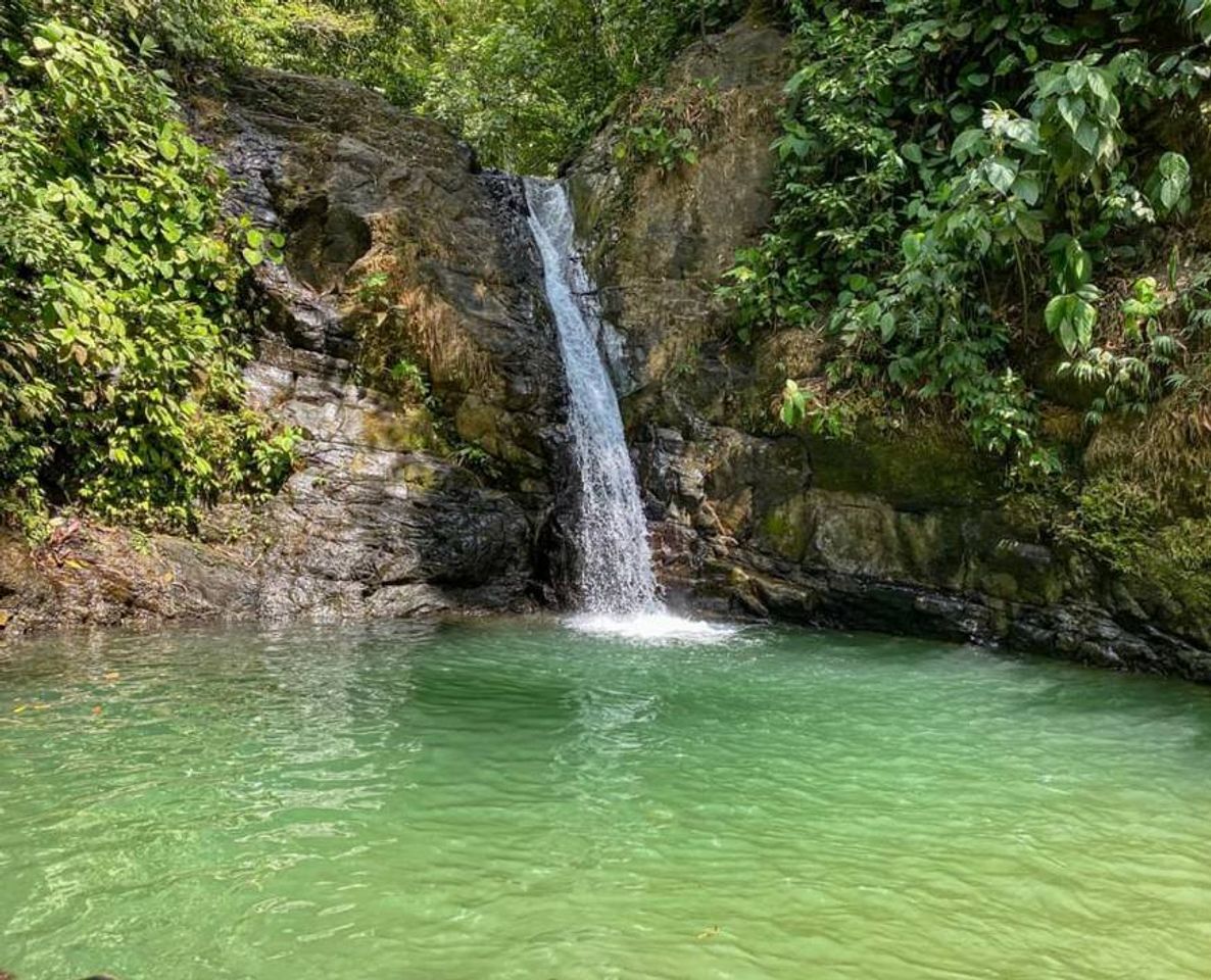 Place Catarata uvita