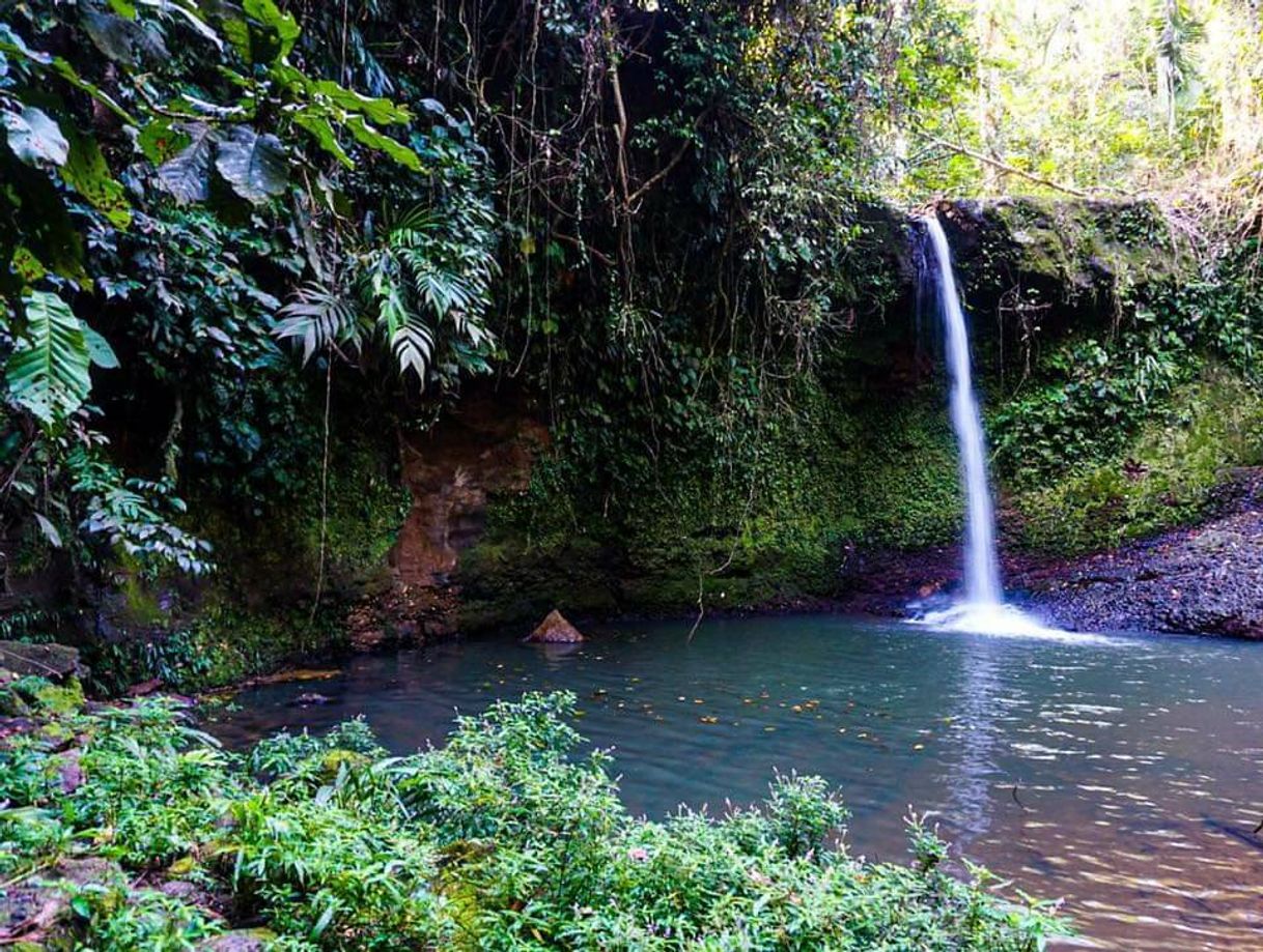 Place Limon,Costa Rica