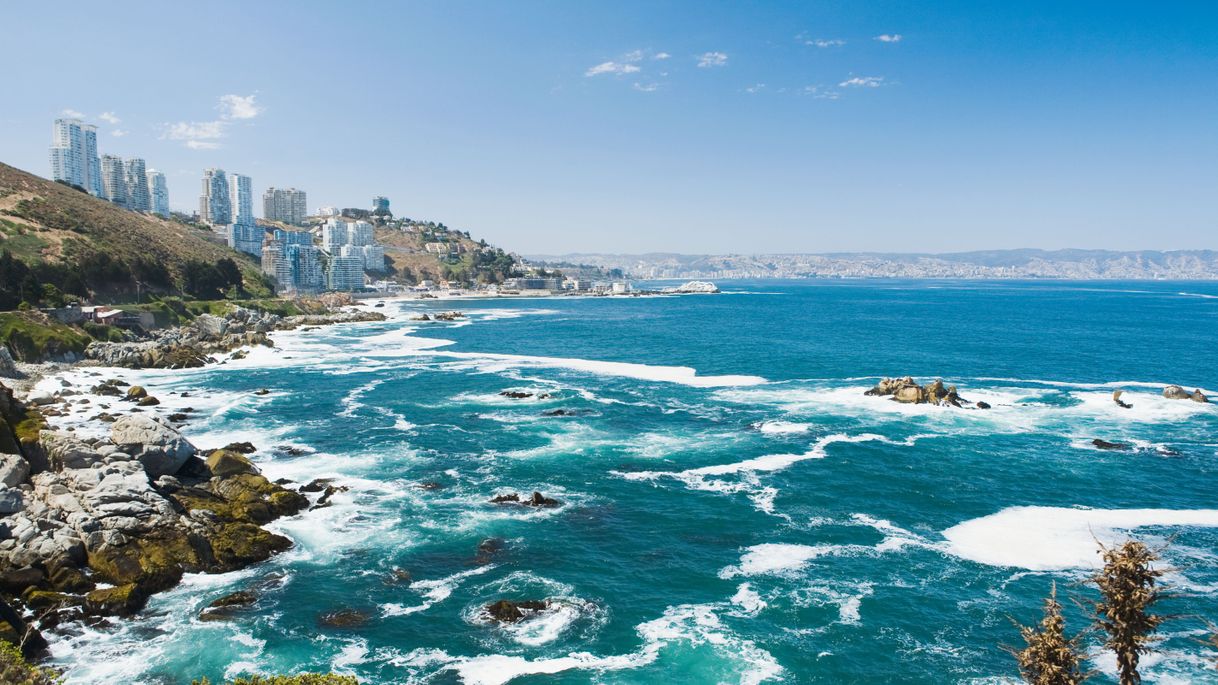 Place Viña del Mar