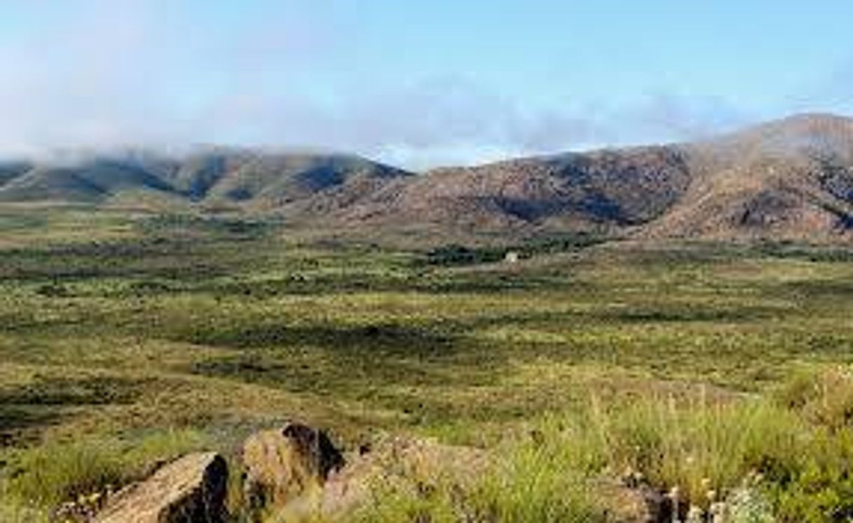 Lugares Parque Nacional Lihué Calel