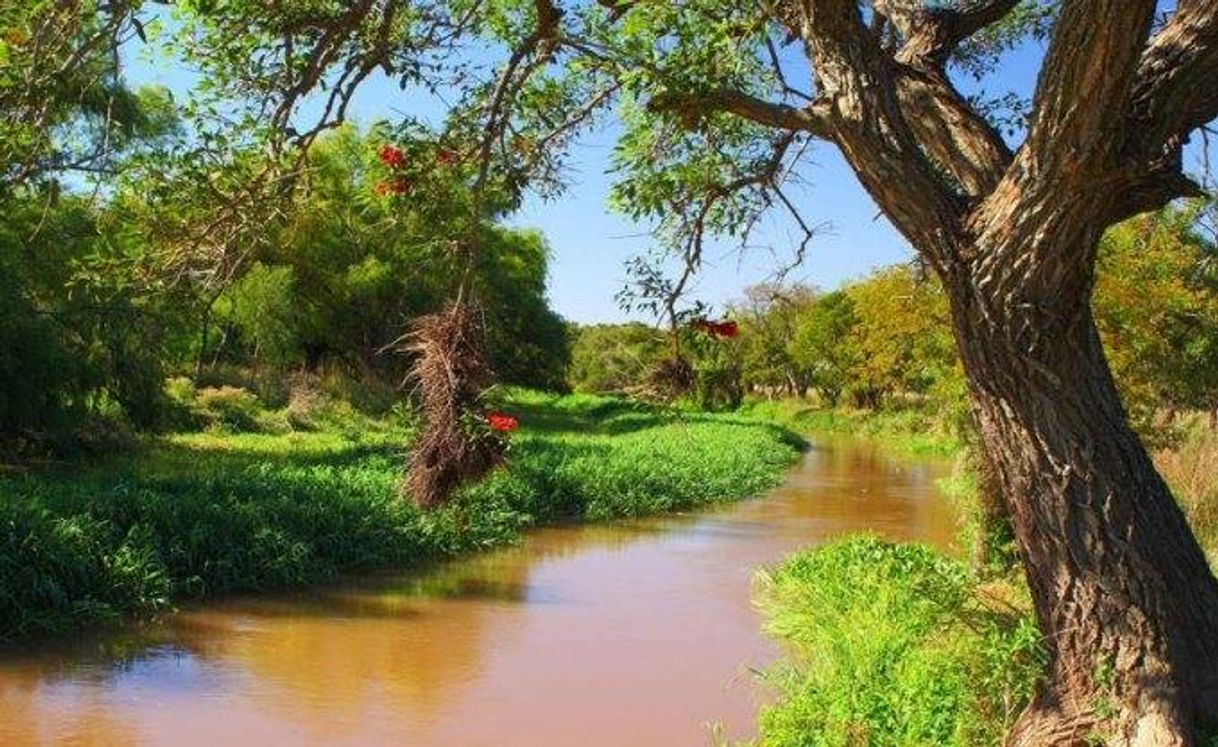 Lugares Parque Nacional Pre-Delta