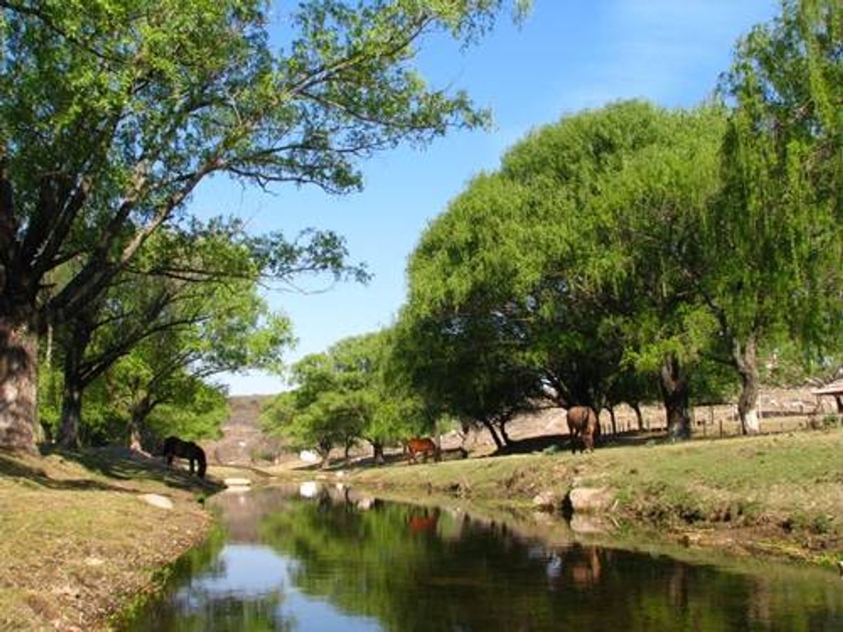 Lugares Parque Nacional Copo