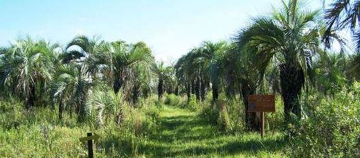 Parque Nacional Mburucuyá