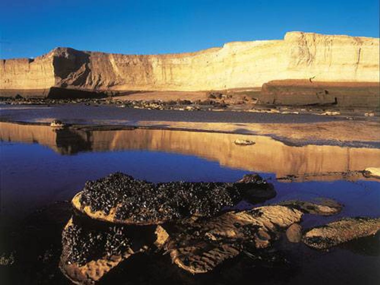 Lugares Parque Nacional Monte León