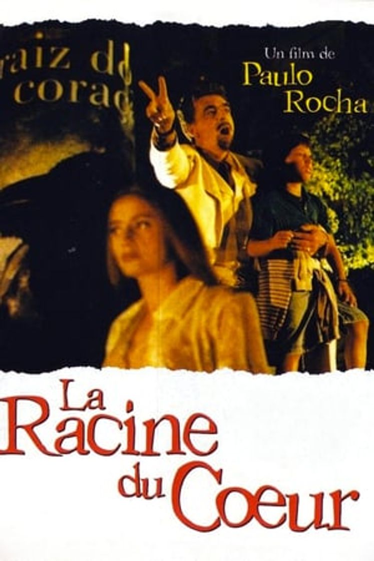 Movie A Raiz do Coração
