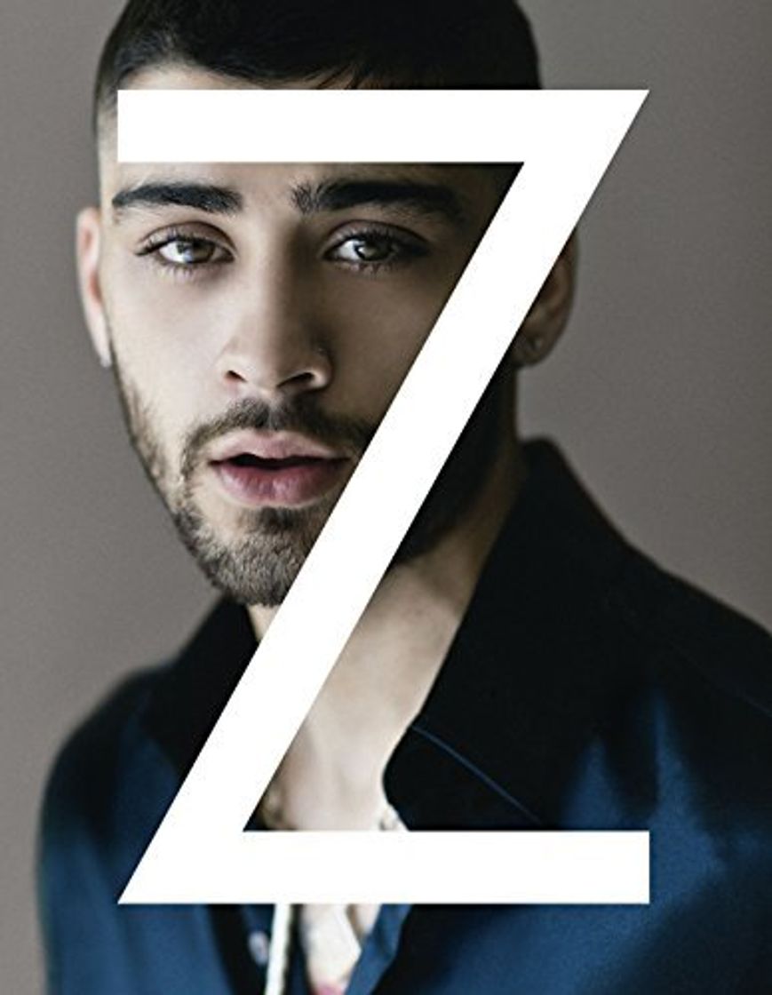 Libro ZAYN