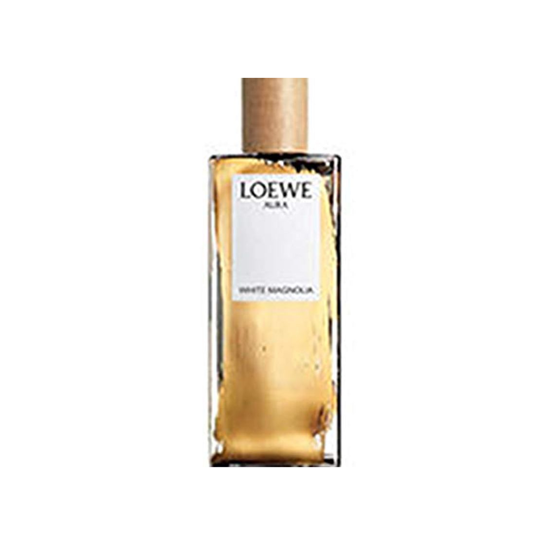 Social Loewe