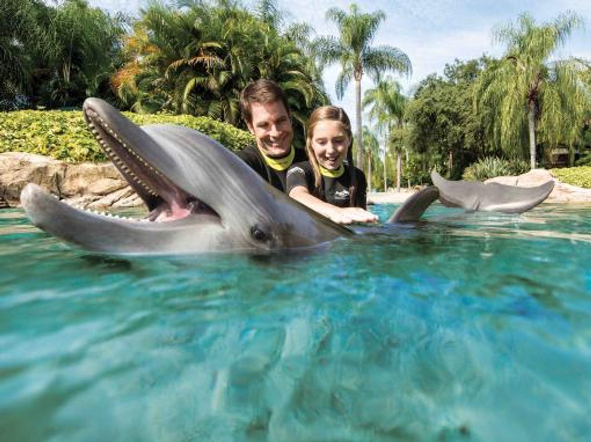 Lugar Discovery Cove