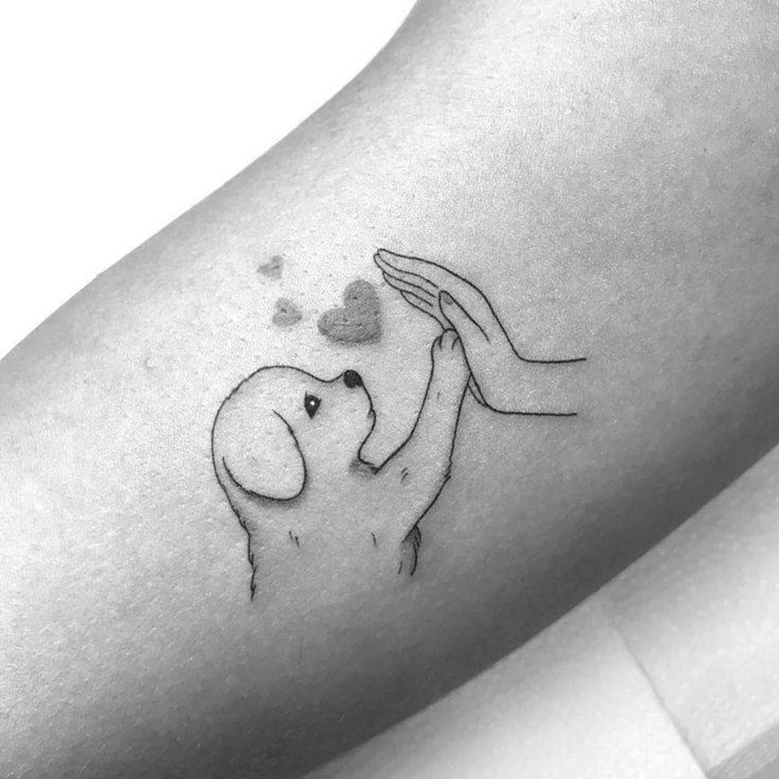 Fashion Tattoo