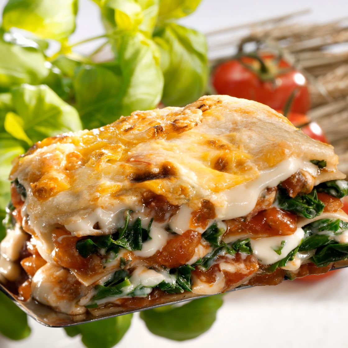 Moda Spinach lasagna