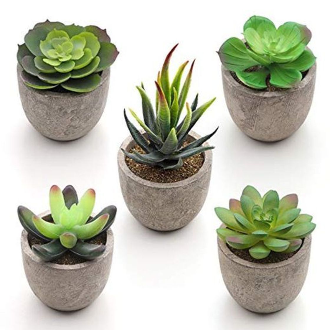 Social SONGMICS Plantas Suculentas Artificiales en Maceta