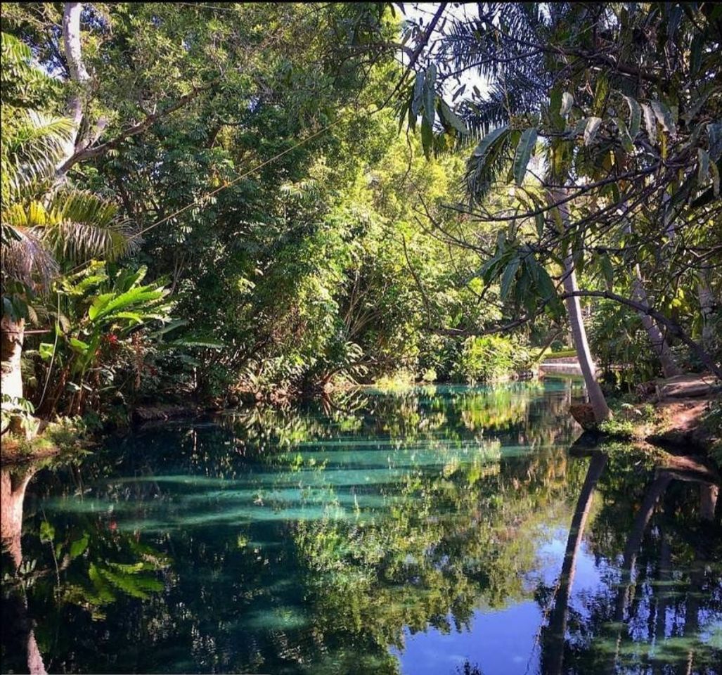 Lugar Las Estacas Parque Natural