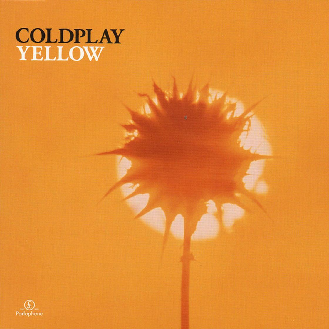 Canción Yellow