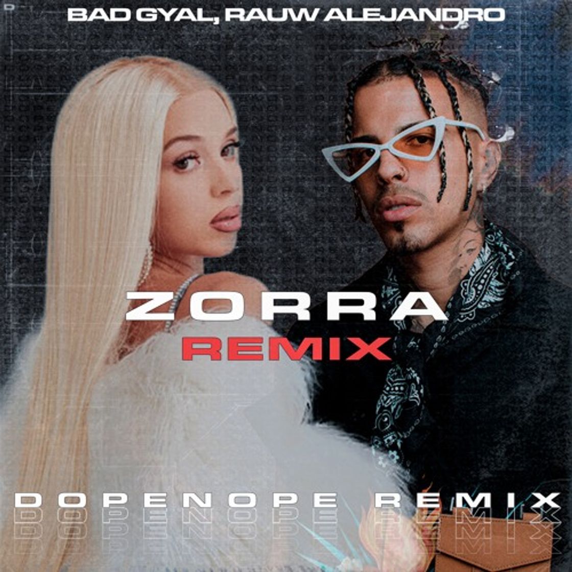 Canción Zorra - Remix