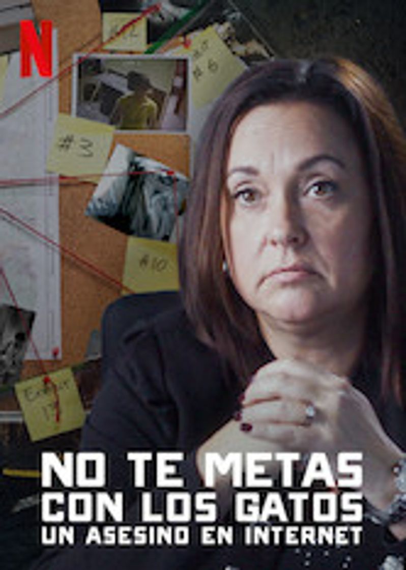 Social No te metas con los gatos: Un asesino en internet

