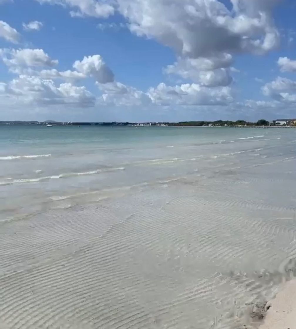 Lugar Playa de Alcudia (Port d'Alcudia) 