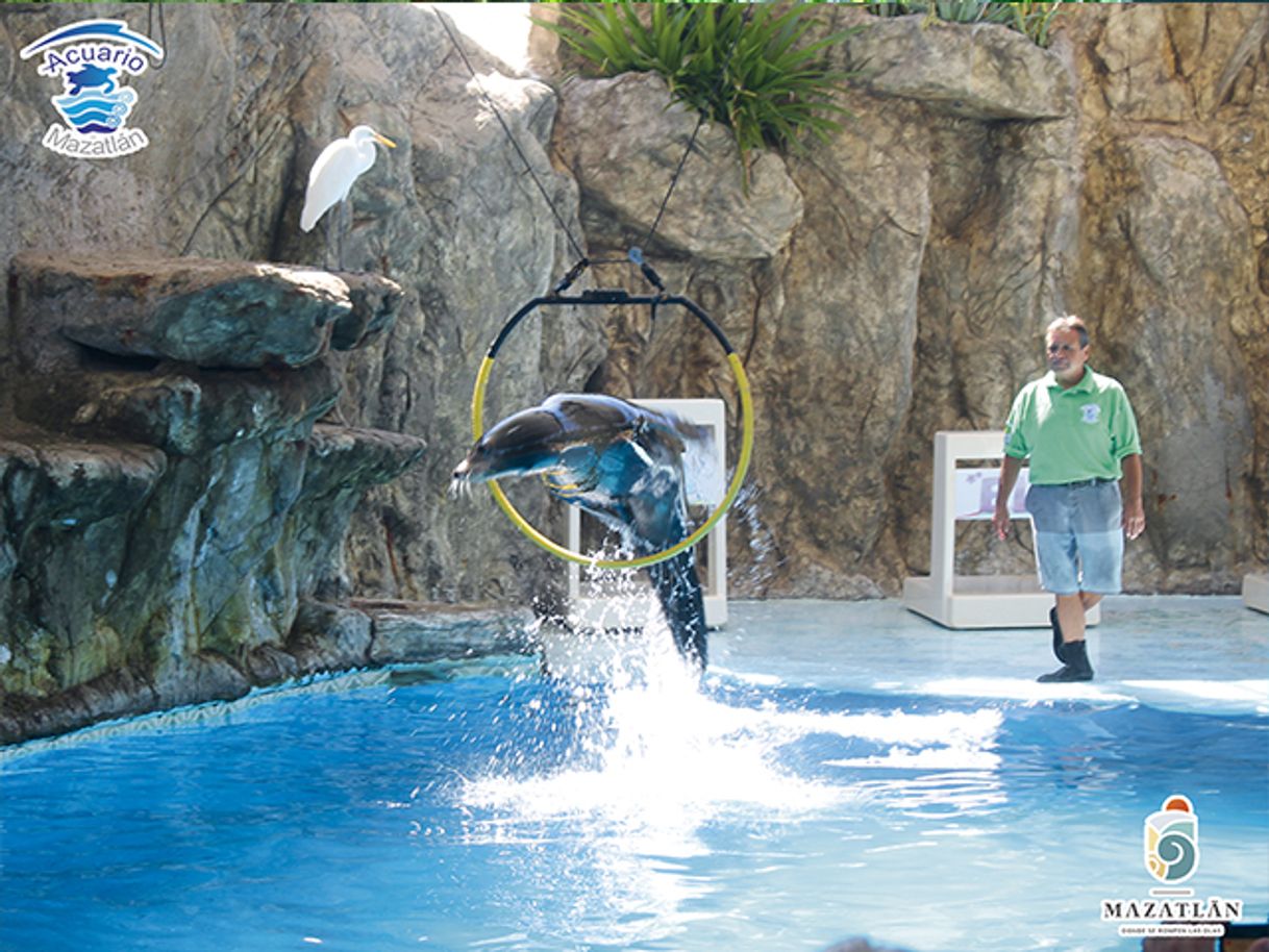 Place Acuario Mazatlán